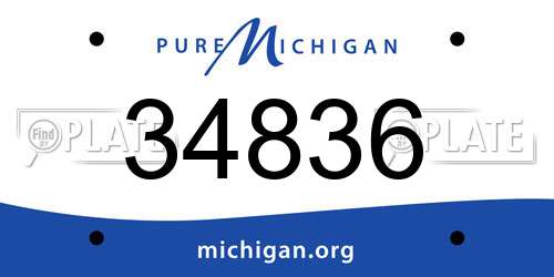 34836 Michigan License Plate
