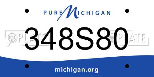 348S80 Michigan License Plate