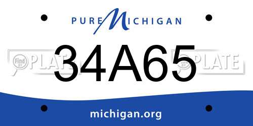 34A65 Michigan License Plate