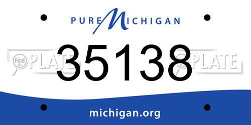 35138 Michigan License Plate