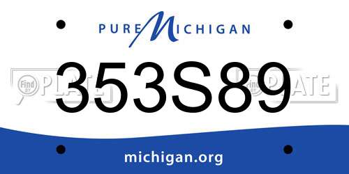 353S89 Michigan License Plate
