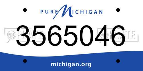3565046 Michigan License Plate
