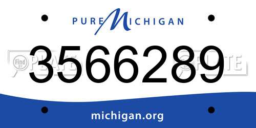 3566289 Michigan License Plate