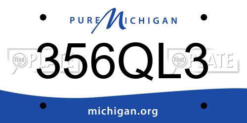 356QL3 Michigan License Plate