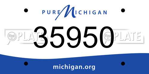 35950 Michigan License Plate