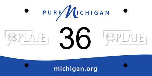 36 Michigan License Plate