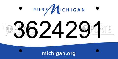 3624291 Michigan License Plate