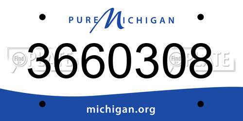 3660308 Michigan License Plate