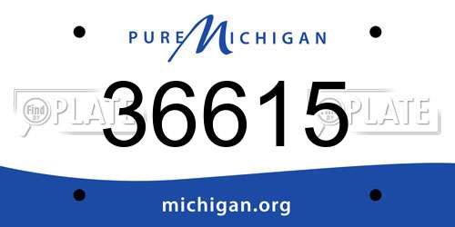 36615 Michigan License Plate