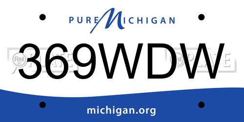 369WDW Michigan License Plate