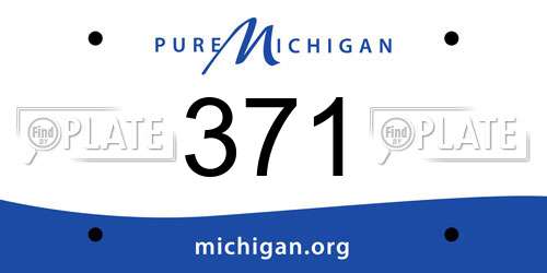 371 Michigan License Plate