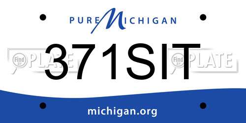 371SIT Michigan License Plate
