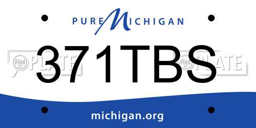 371TBS Michigan License Plate