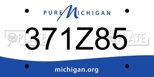371Z85 Michigan License Plate