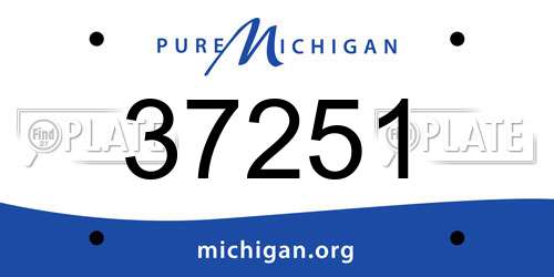 37251 Michigan License Plate