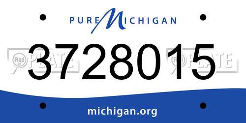 3728015 Michigan License Plate