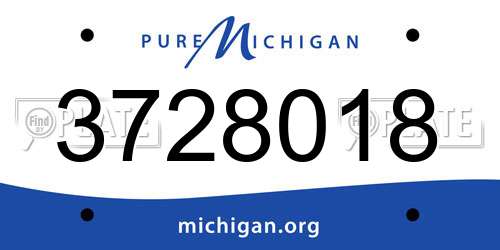3728018 Michigan License Plate