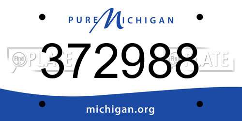 372988 Michigan License Plate