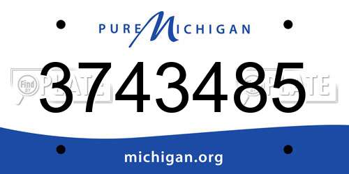 3743485 Michigan License Plate