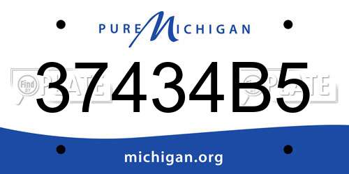 37434B5 Michigan License Plate