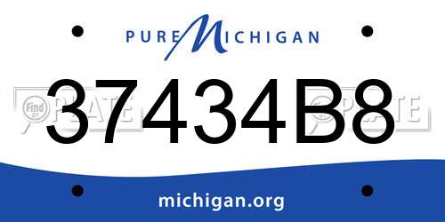 37434B8 Michigan License Plate