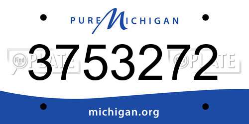 3753272 Michigan License Plate