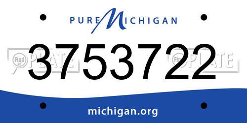 3753722 Michigan License Plate