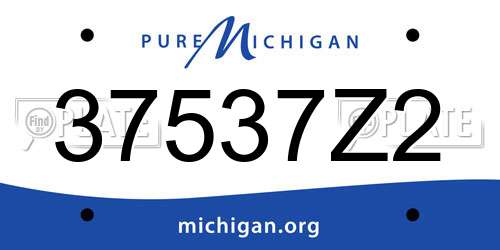 37537Z2 Michigan License Plate