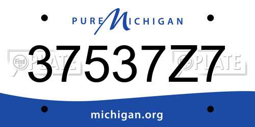 37537Z7 Michigan License Plate
