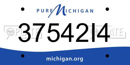 37542I4 Michigan License Plate