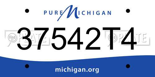 37542T4 Michigan License Plate