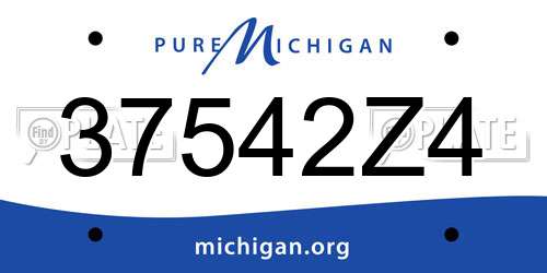 37542Z4 Michigan License Plate