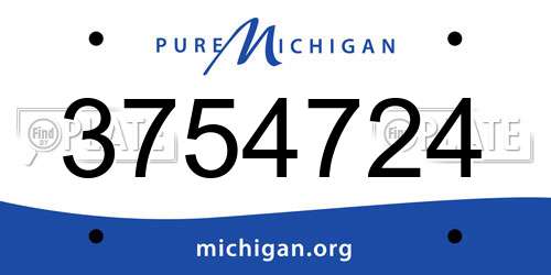 3754724 Michigan License Plate