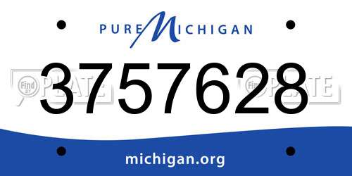 3757628 Michigan License Plate