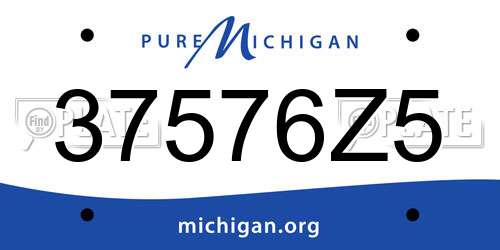 37576Z5 Michigan License Plate