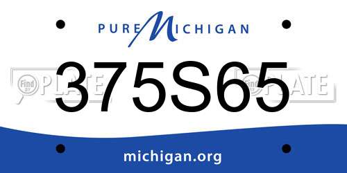 375S65 Michigan License Plate