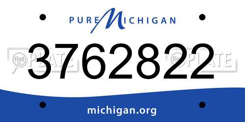 3762822 Michigan License Plate