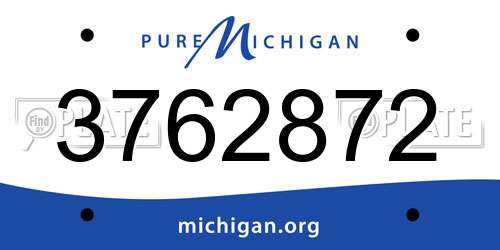 3762872 Michigan License Plate