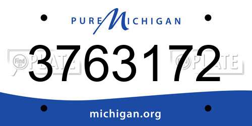 3763172 Michigan License Plate