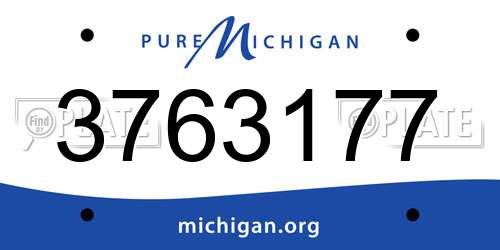 3763177 Michigan License Plate