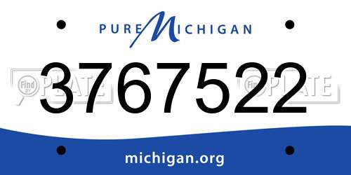 3767522 Michigan License Plate