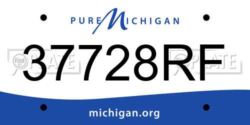 37728RF Michigan License Plate