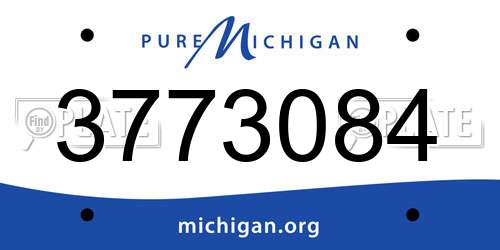 3773084 Michigan License Plate