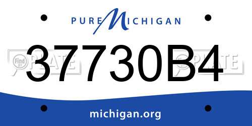 37730B4 Michigan License Plate