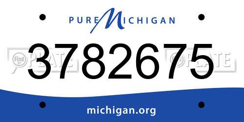 3782675 Michigan License Plate