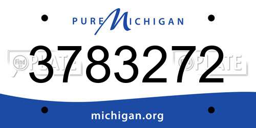 3783272 Michigan License Plate