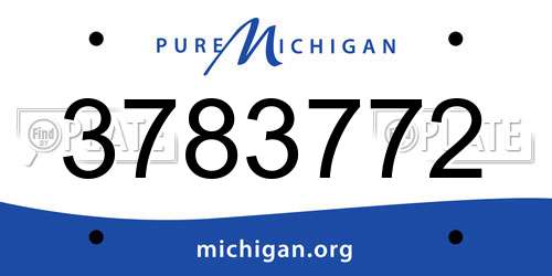 3783772 Michigan License Plate