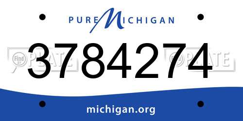 3784274 Michigan License Plate