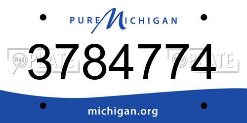 3784774 Michigan License Plate