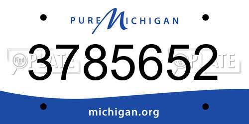 3785652 Michigan License Plate